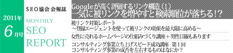 SEO協会会報誌「MONTHLY SEO REPORT」2011年6月号