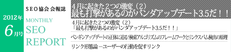 SEO協会会報誌「MONTHLY SEO REPORT」2012年6月号