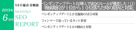 SEO協会会報誌「MONTHLY SEO REPORT」2013年6月号